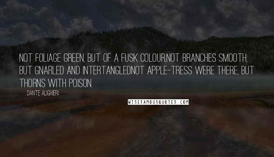 Dante Alighieri Quotes: Not foliage green, but of a fusk colour,Not branches smooth, but gnarled and intertanglednot apple-tress were there, but thorns with poison.