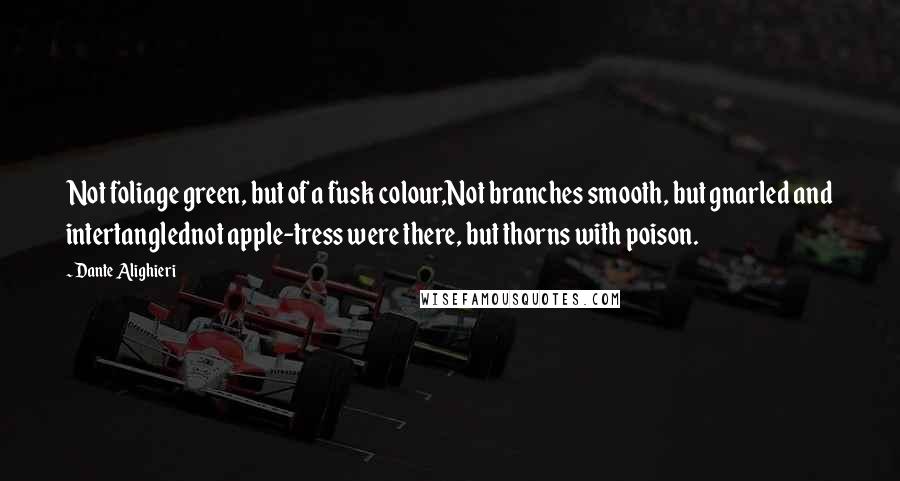 Dante Alighieri Quotes: Not foliage green, but of a fusk colour,Not branches smooth, but gnarled and intertanglednot apple-tress were there, but thorns with poison.