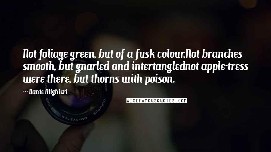 Dante Alighieri Quotes: Not foliage green, but of a fusk colour,Not branches smooth, but gnarled and intertanglednot apple-tress were there, but thorns with poison.