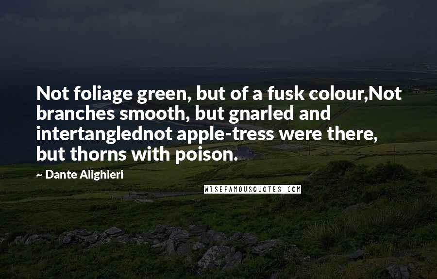 Dante Alighieri Quotes: Not foliage green, but of a fusk colour,Not branches smooth, but gnarled and intertanglednot apple-tress were there, but thorns with poison.