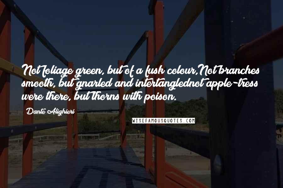 Dante Alighieri Quotes: Not foliage green, but of a fusk colour,Not branches smooth, but gnarled and intertanglednot apple-tress were there, but thorns with poison.