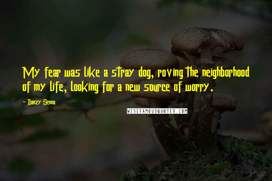 Danzy Senna Quotes: My fear was like a stray dog, roving the neighborhood of my life, looking for a new source of worry.