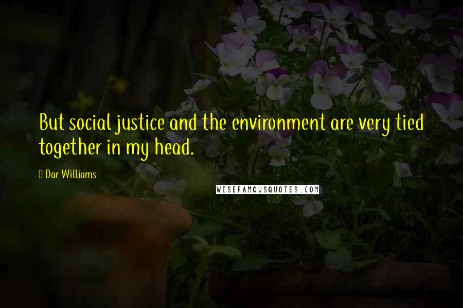 Dar Williams Quotes: But social justice and the environment are very tied together in my head.