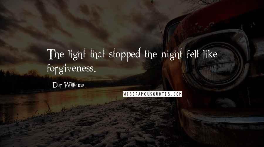 Dar Williams Quotes: The light that stopped the night felt like forgiveness.