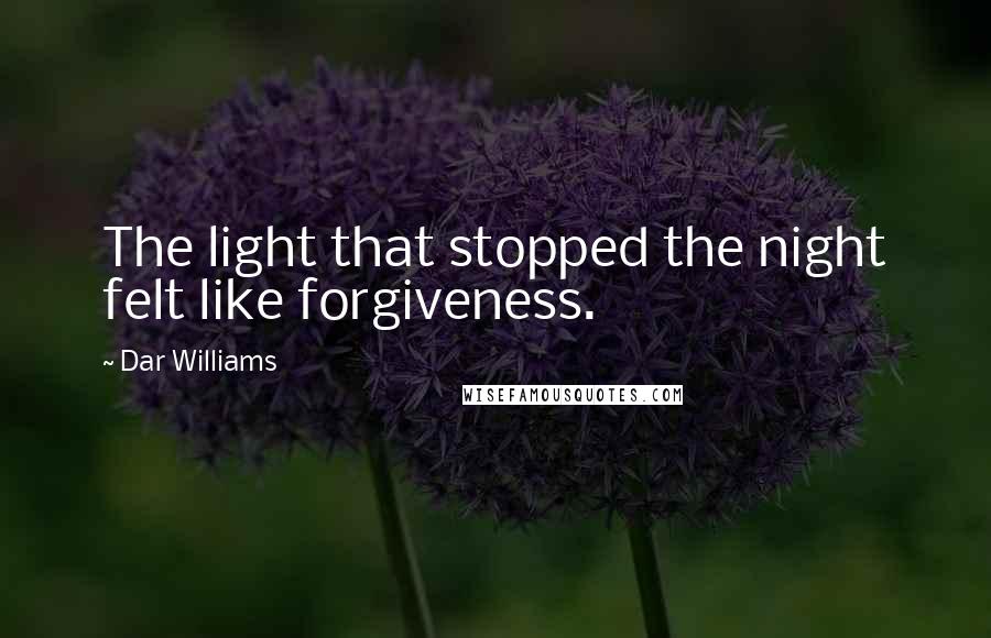 Dar Williams Quotes: The light that stopped the night felt like forgiveness.