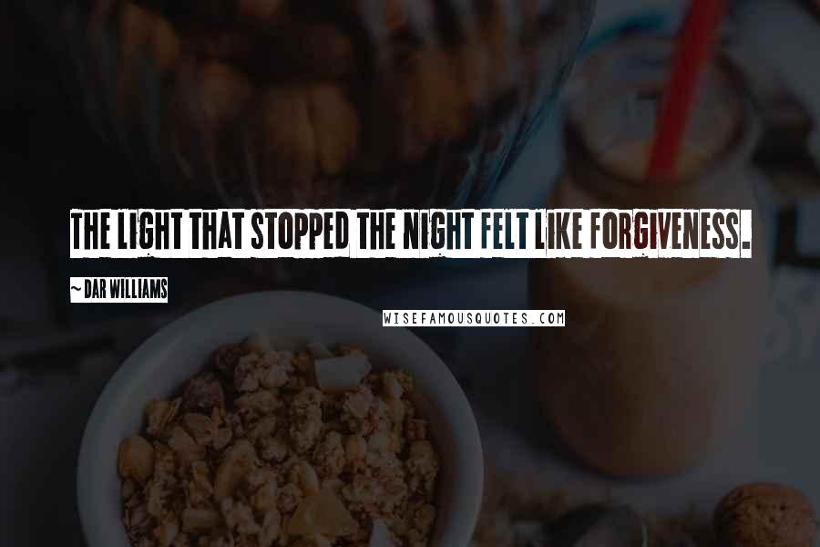 Dar Williams Quotes: The light that stopped the night felt like forgiveness.