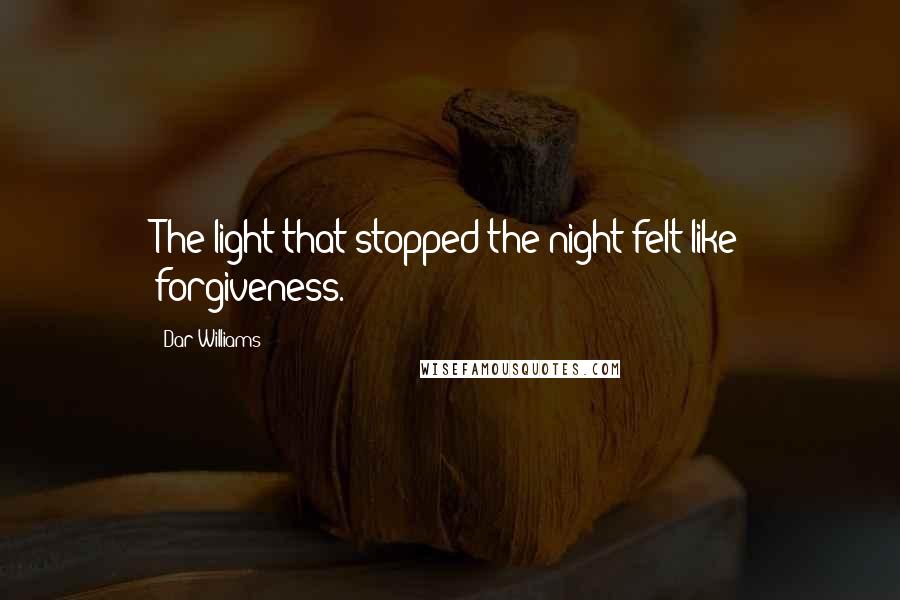 Dar Williams Quotes: The light that stopped the night felt like forgiveness.
