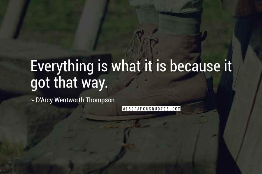 D'Arcy Wentworth Thompson Quotes: Everything is what it is because it got that way.