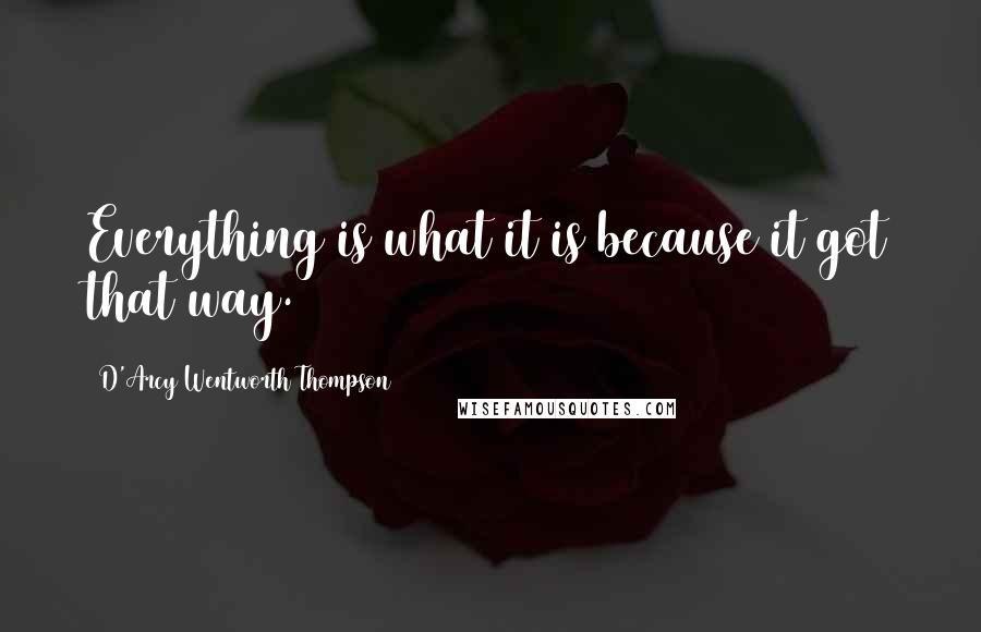 D'Arcy Wentworth Thompson Quotes: Everything is what it is because it got that way.