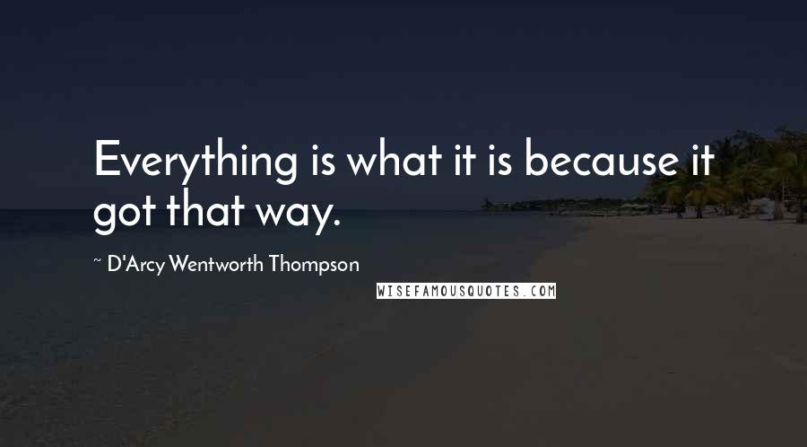 D'Arcy Wentworth Thompson Quotes: Everything is what it is because it got that way.