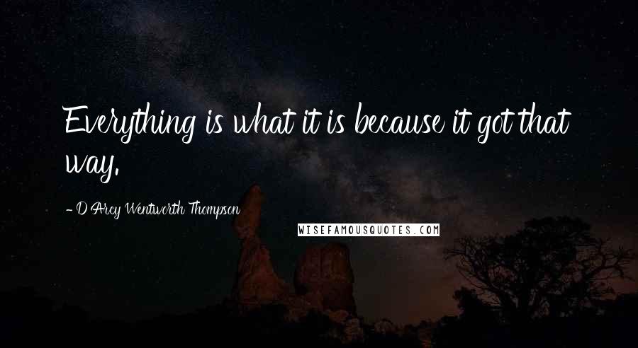 D'Arcy Wentworth Thompson Quotes: Everything is what it is because it got that way.