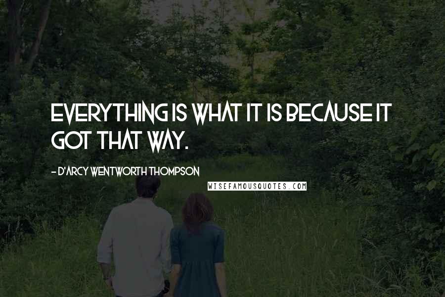 D'Arcy Wentworth Thompson Quotes: Everything is what it is because it got that way.