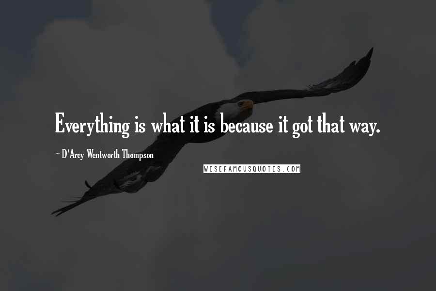 D'Arcy Wentworth Thompson Quotes: Everything is what it is because it got that way.