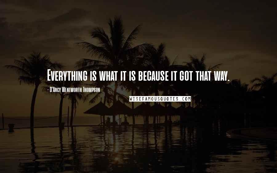D'Arcy Wentworth Thompson Quotes: Everything is what it is because it got that way.