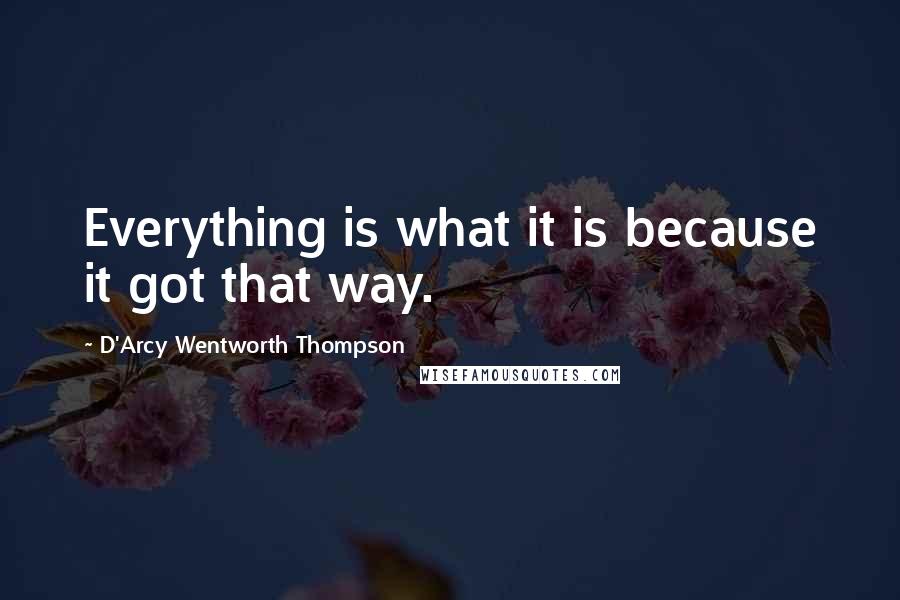 D'Arcy Wentworth Thompson Quotes: Everything is what it is because it got that way.