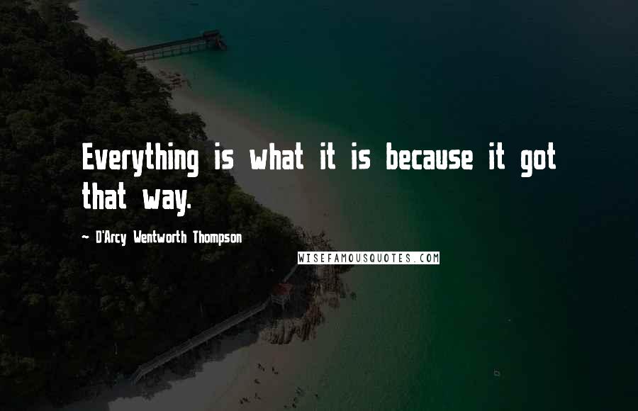 D'Arcy Wentworth Thompson Quotes: Everything is what it is because it got that way.