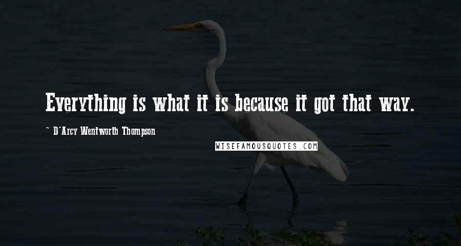 D'Arcy Wentworth Thompson Quotes: Everything is what it is because it got that way.