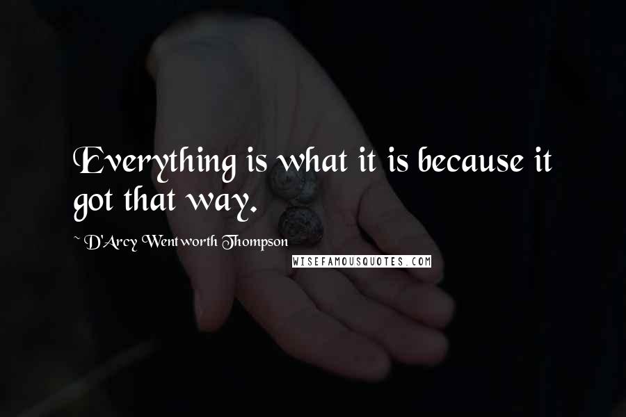 D'Arcy Wentworth Thompson Quotes: Everything is what it is because it got that way.