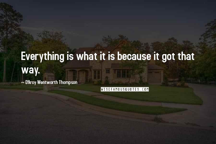 D'Arcy Wentworth Thompson Quotes: Everything is what it is because it got that way.