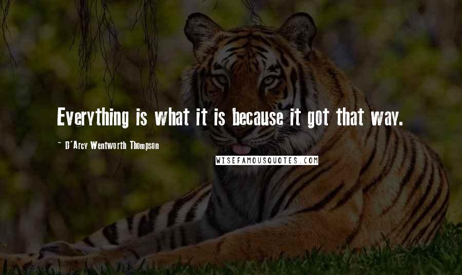 D'Arcy Wentworth Thompson Quotes: Everything is what it is because it got that way.