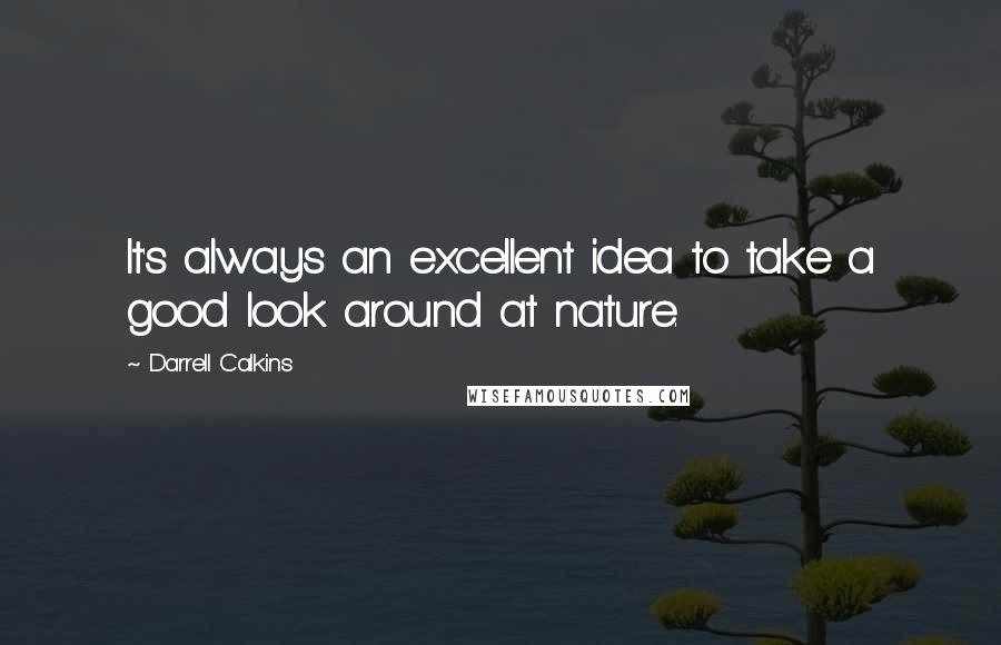 Darrell Calkins Quotes: It's always an excellent idea to take a good look around at nature.
