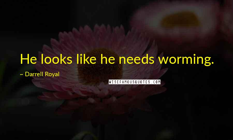 Darrell Royal Quotes: He looks like he needs worming.