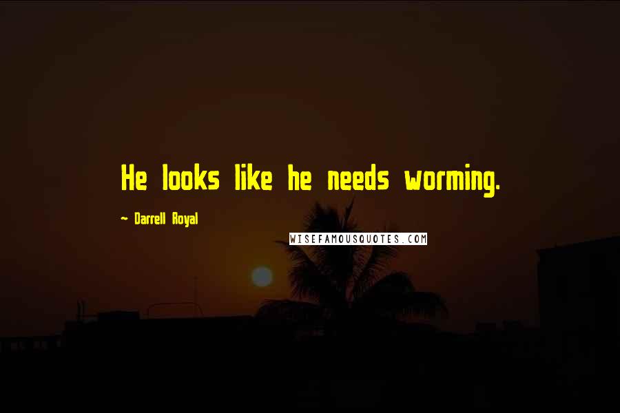 Darrell Royal Quotes: He looks like he needs worming.