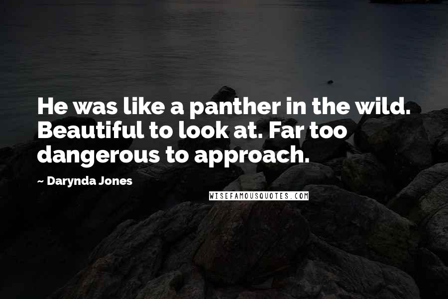 Darynda Jones Quotes: He was like a panther in the wild. Beautiful to look at. Far too dangerous to approach.