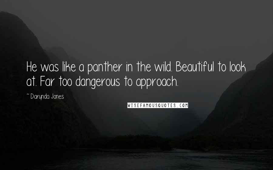 Darynda Jones Quotes: He was like a panther in the wild. Beautiful to look at. Far too dangerous to approach.