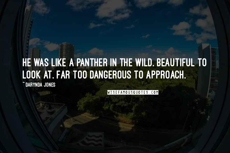 Darynda Jones Quotes: He was like a panther in the wild. Beautiful to look at. Far too dangerous to approach.