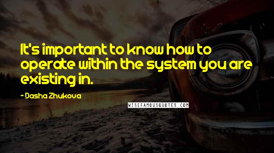 Dasha Zhukova Quotes: It's important to know how to operate within the system you are existing in.