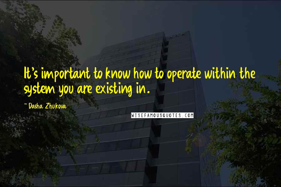 Dasha Zhukova Quotes: It's important to know how to operate within the system you are existing in.
