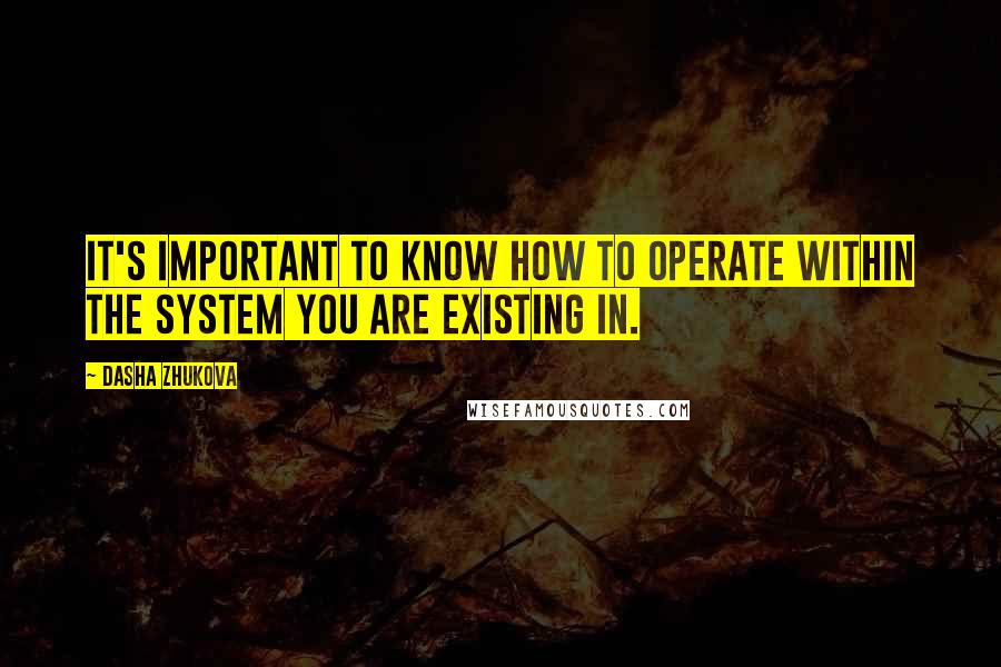 Dasha Zhukova Quotes: It's important to know how to operate within the system you are existing in.