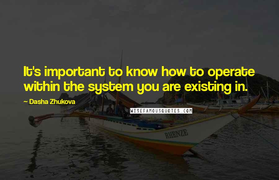 Dasha Zhukova Quotes: It's important to know how to operate within the system you are existing in.