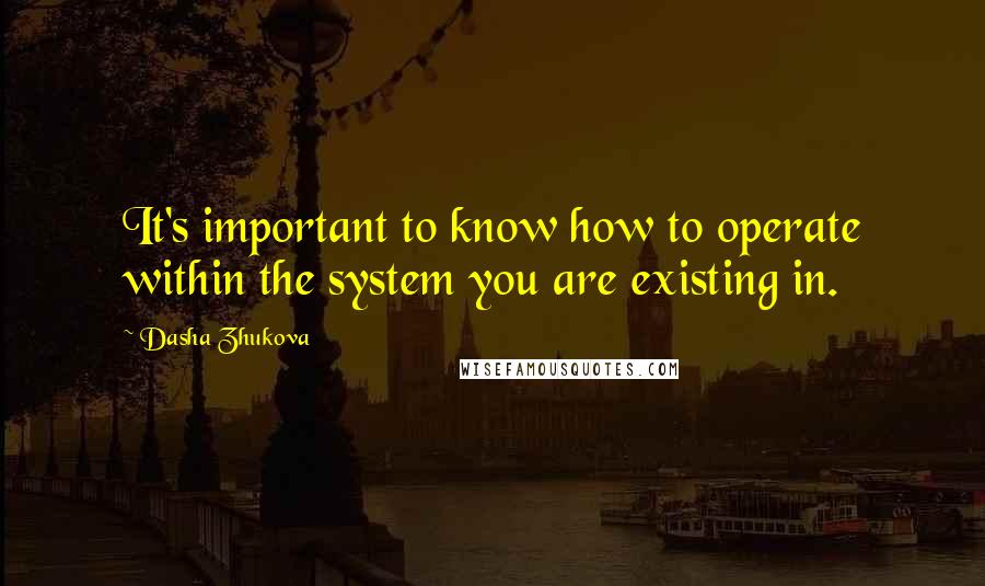 Dasha Zhukova Quotes: It's important to know how to operate within the system you are existing in.