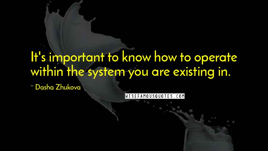 Dasha Zhukova Quotes: It's important to know how to operate within the system you are existing in.