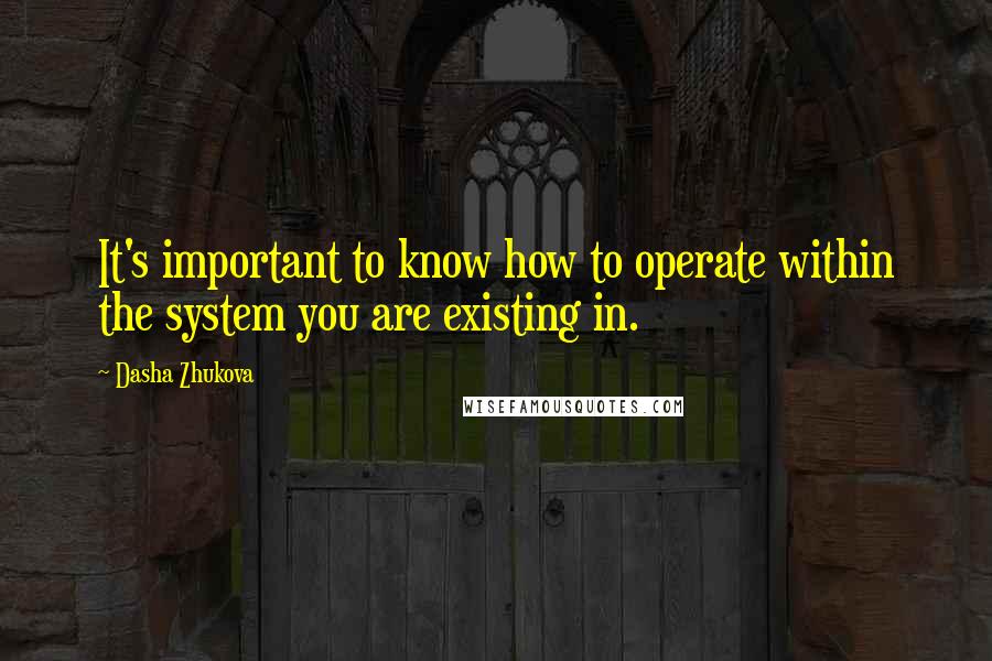 Dasha Zhukova Quotes: It's important to know how to operate within the system you are existing in.