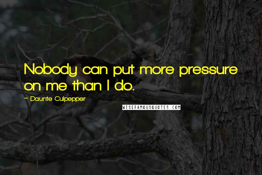 Daunte Culpepper Quotes: Nobody can put more pressure on me than I do.