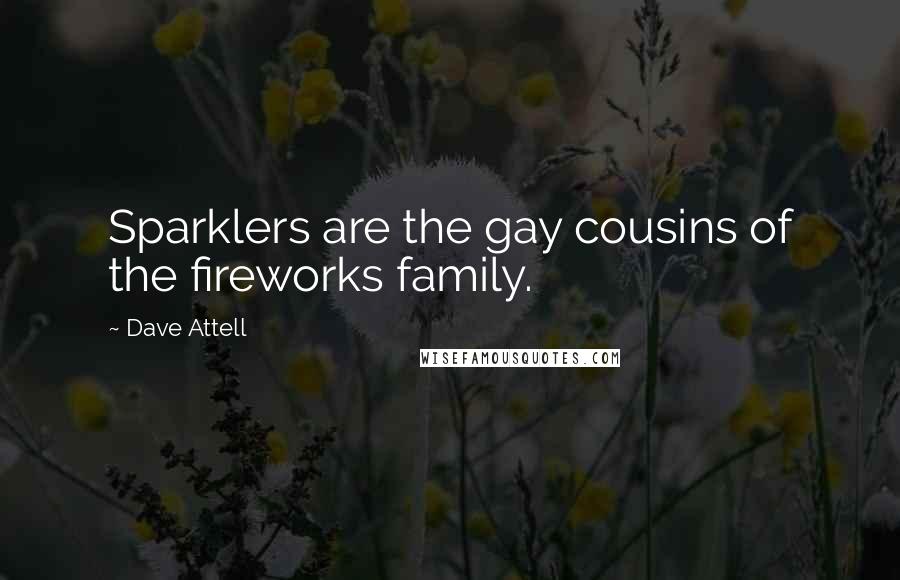 Dave Attell Quotes: Sparklers are the gay cousins of the fireworks family.