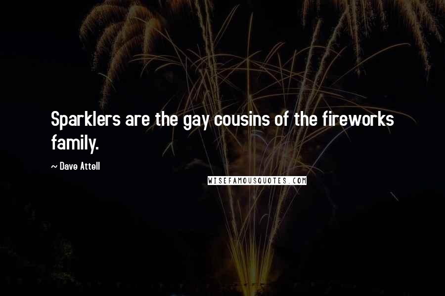 Dave Attell Quotes: Sparklers are the gay cousins of the fireworks family.