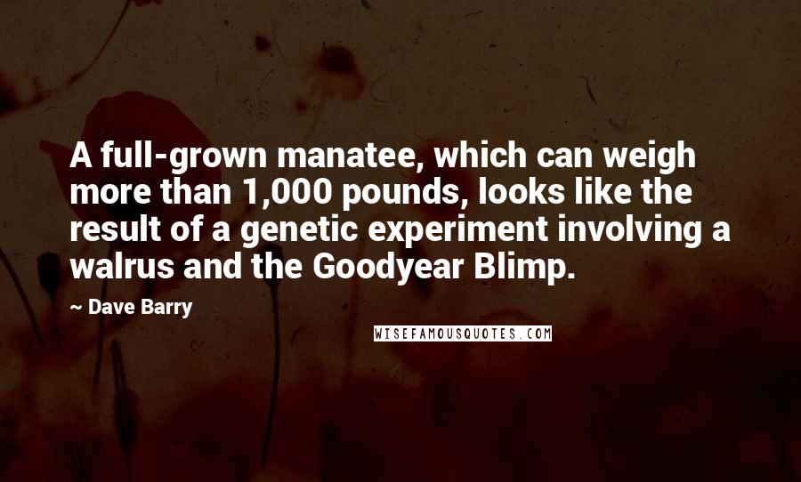 Dave Barry Quotes: A full-grown manatee, which can weigh more than 1,000 pounds, looks like the result of a genetic experiment involving a walrus and the Goodyear Blimp.