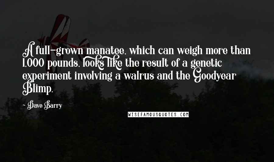 Dave Barry Quotes: A full-grown manatee, which can weigh more than 1,000 pounds, looks like the result of a genetic experiment involving a walrus and the Goodyear Blimp.