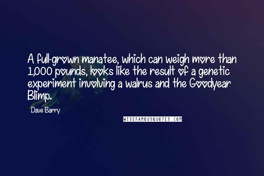 Dave Barry Quotes: A full-grown manatee, which can weigh more than 1,000 pounds, looks like the result of a genetic experiment involving a walrus and the Goodyear Blimp.