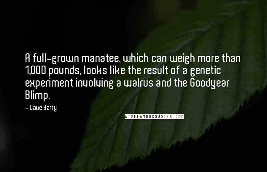 Dave Barry Quotes: A full-grown manatee, which can weigh more than 1,000 pounds, looks like the result of a genetic experiment involving a walrus and the Goodyear Blimp.