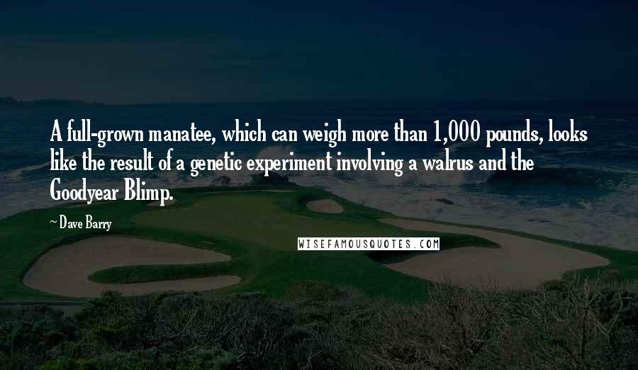 Dave Barry Quotes: A full-grown manatee, which can weigh more than 1,000 pounds, looks like the result of a genetic experiment involving a walrus and the Goodyear Blimp.