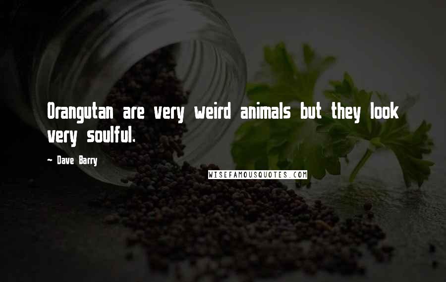 Dave Barry Quotes: Orangutan are very weird animals but they look very soulful.