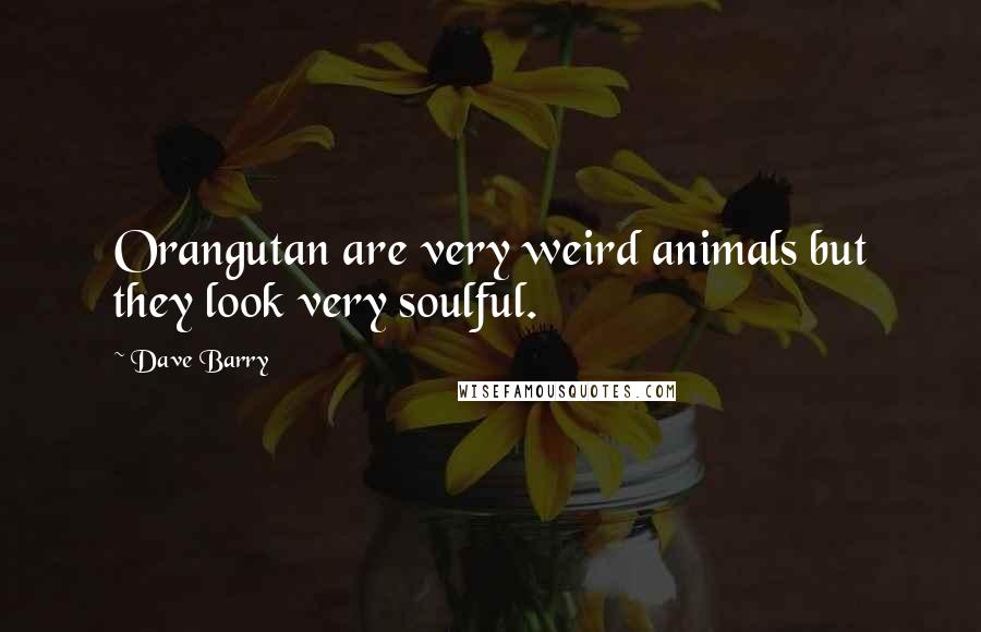 Dave Barry Quotes: Orangutan are very weird animals but they look very soulful.
