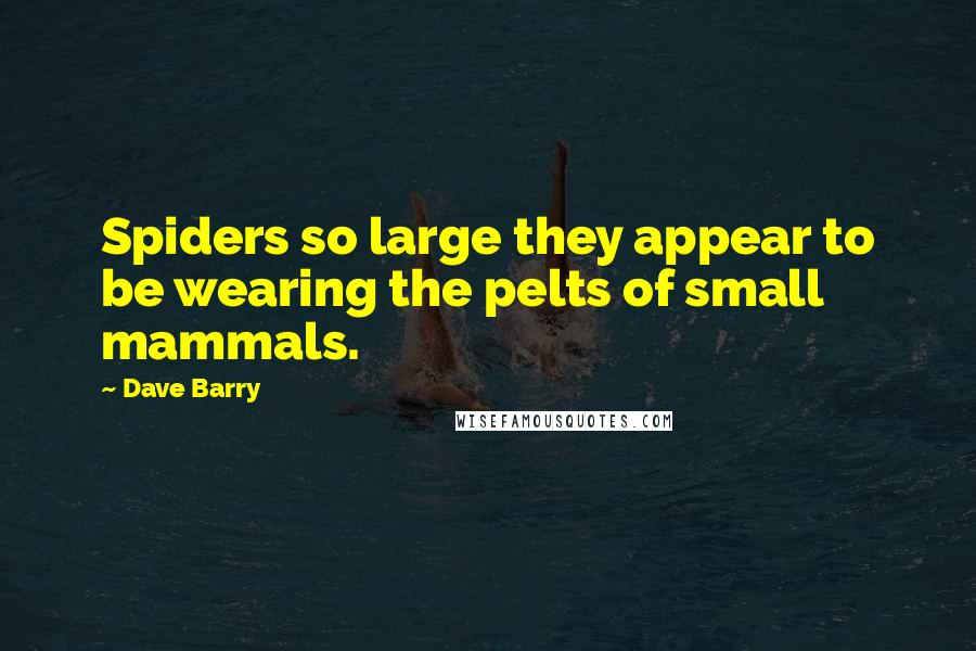 Dave Barry Quotes: Spiders so large they appear to be wearing the pelts of small mammals.