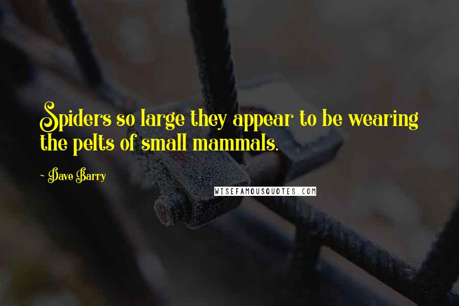 Dave Barry Quotes: Spiders so large they appear to be wearing the pelts of small mammals.
