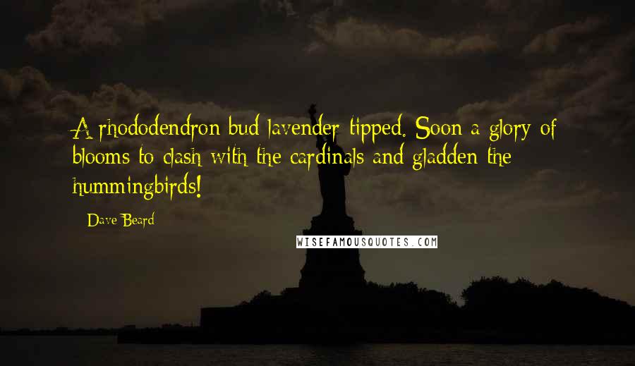 Dave Beard Quotes: A rhododendron bud lavender-tipped. Soon a glory of blooms to clash with the cardinals and gladden the hummingbirds!